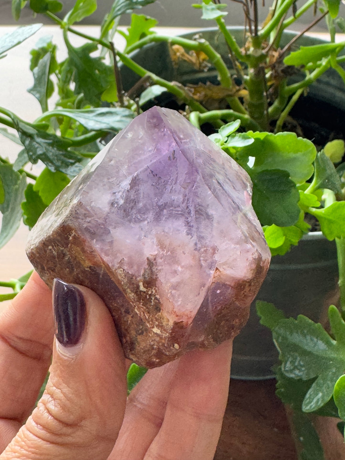 🔮 Amethyst Trapeze