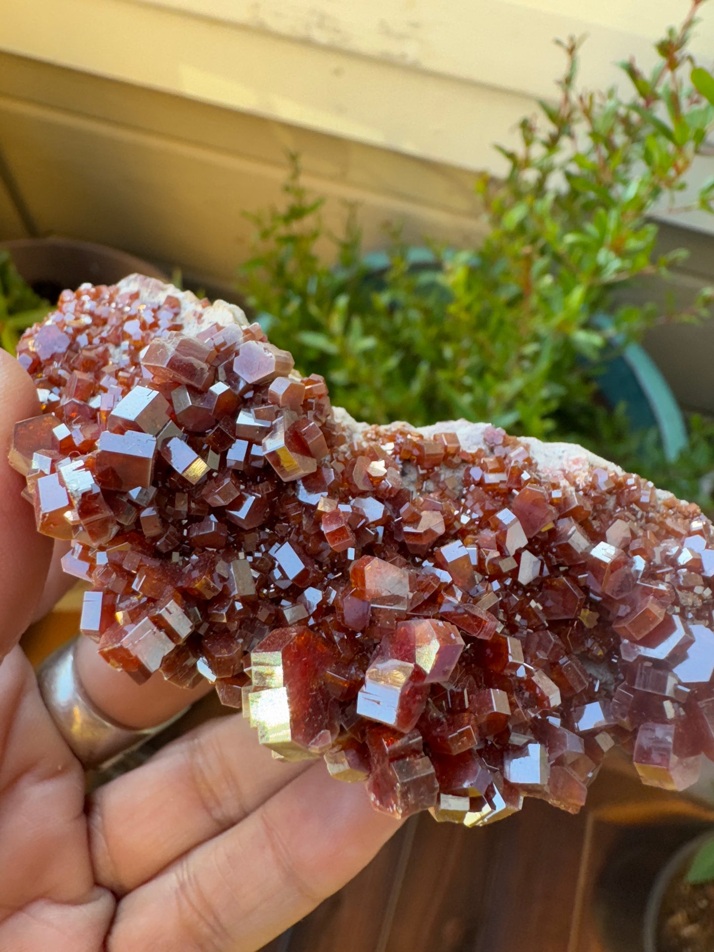 Vanadinite Cluster – Fire of Manifestation