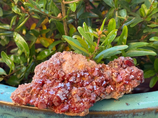 Vanadinite Cluster – Fire of Manifestation