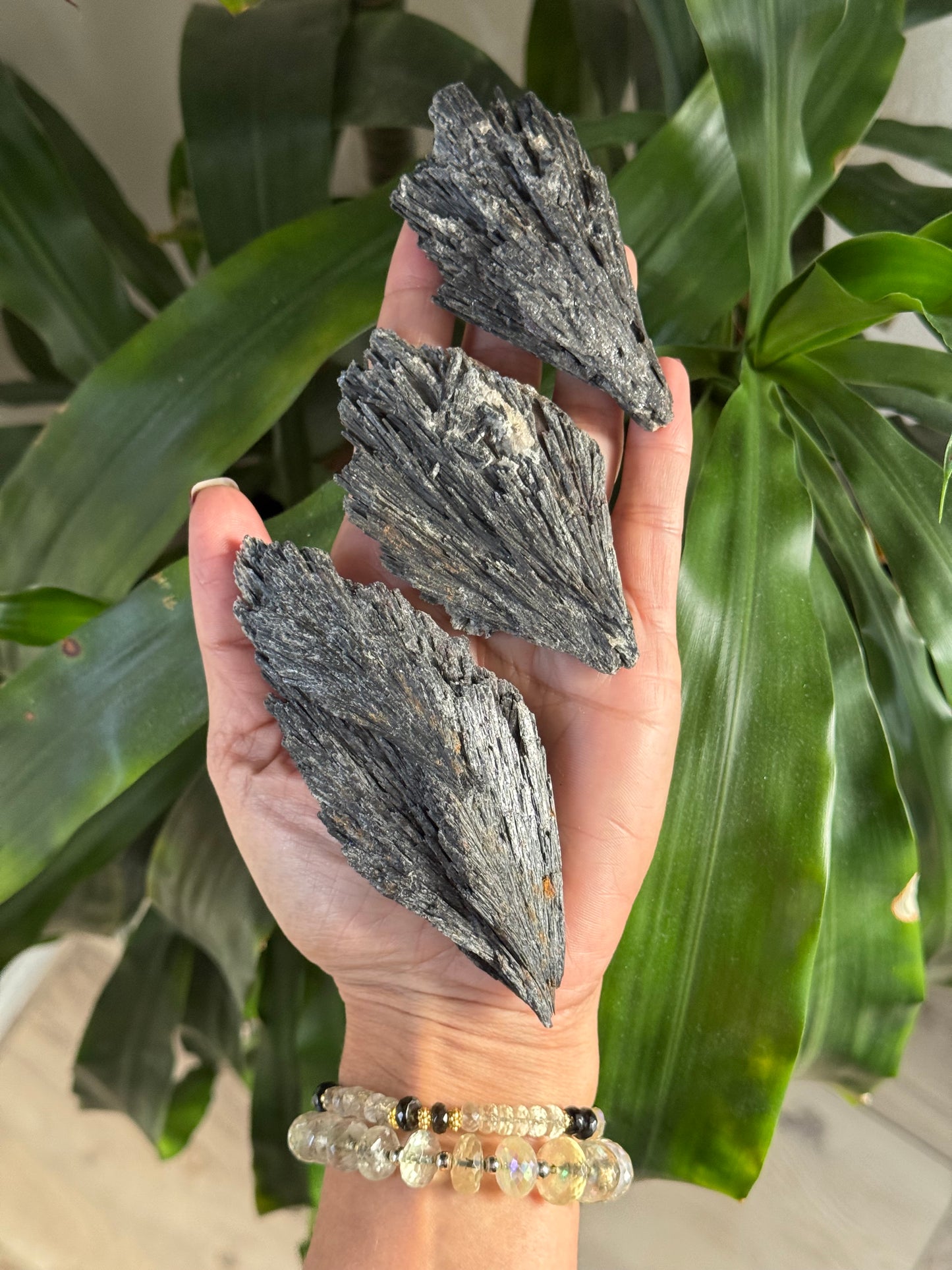 Raw Black Kyanite – The Blade of Protection & Alignment
