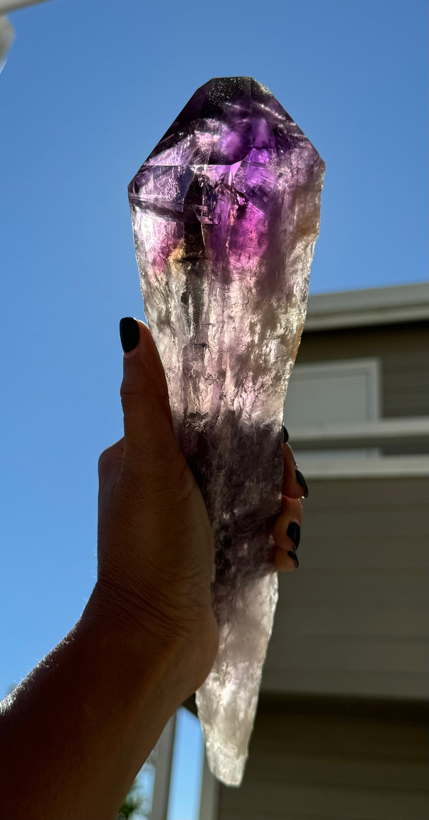 Large Raw Natural Amethyst Root