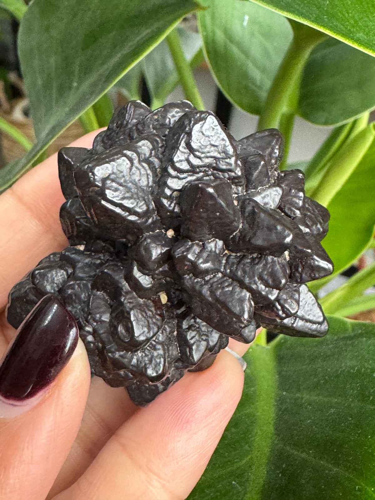 Prophecy Stone – Ancient Wisdom & Inner Vision