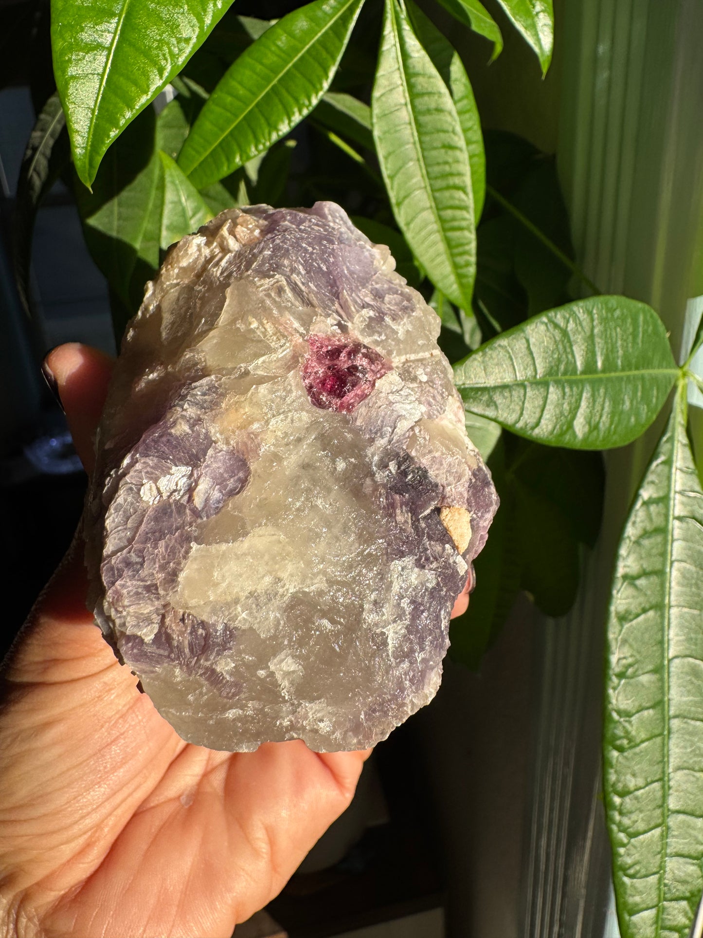 Pink Tourmaline with Lepidolite
Lithium Pegmatite Specimen | Brazil