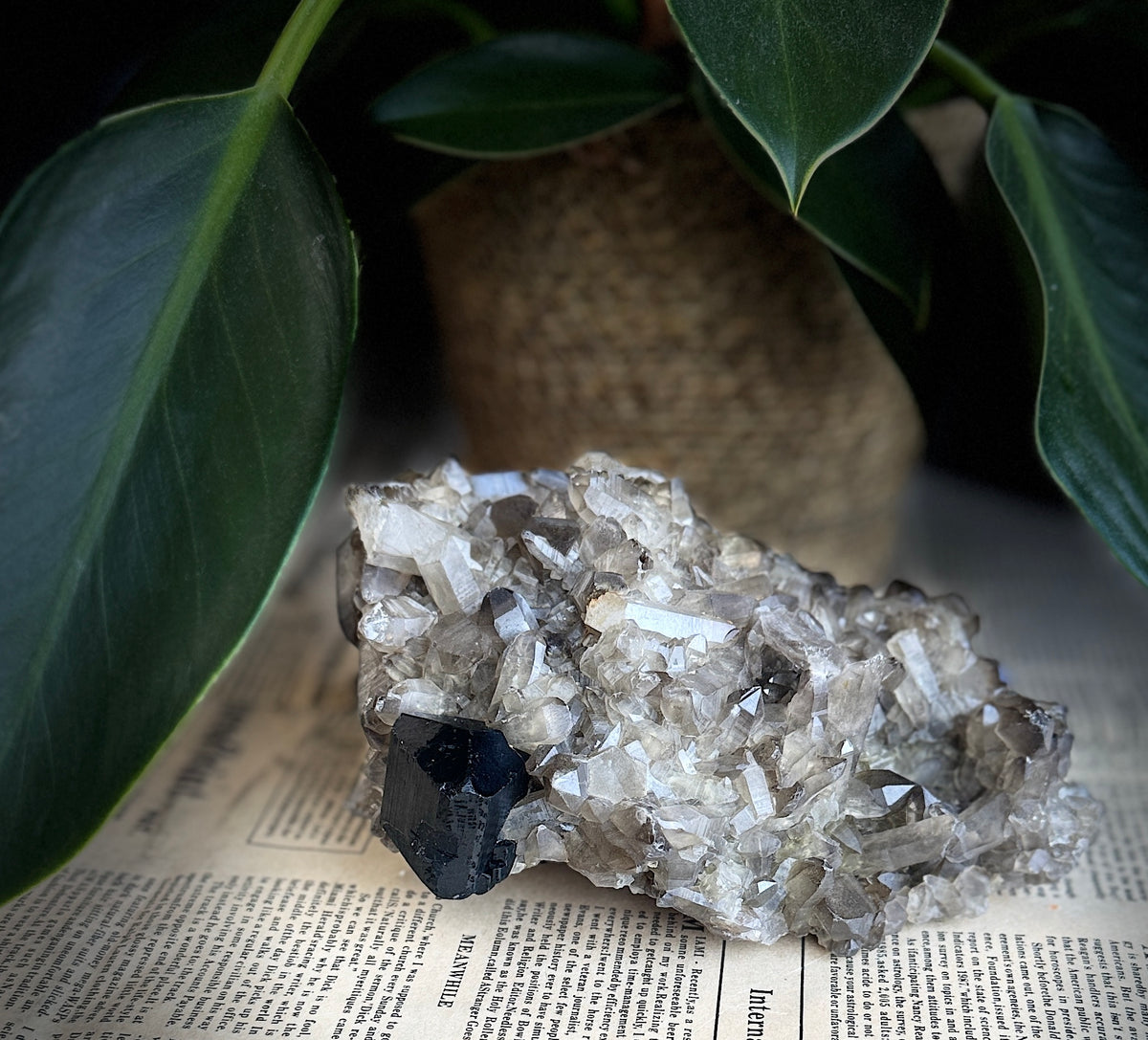 Very Rich Smoky Quartz & Black Tourmaline Cluster | Namibia