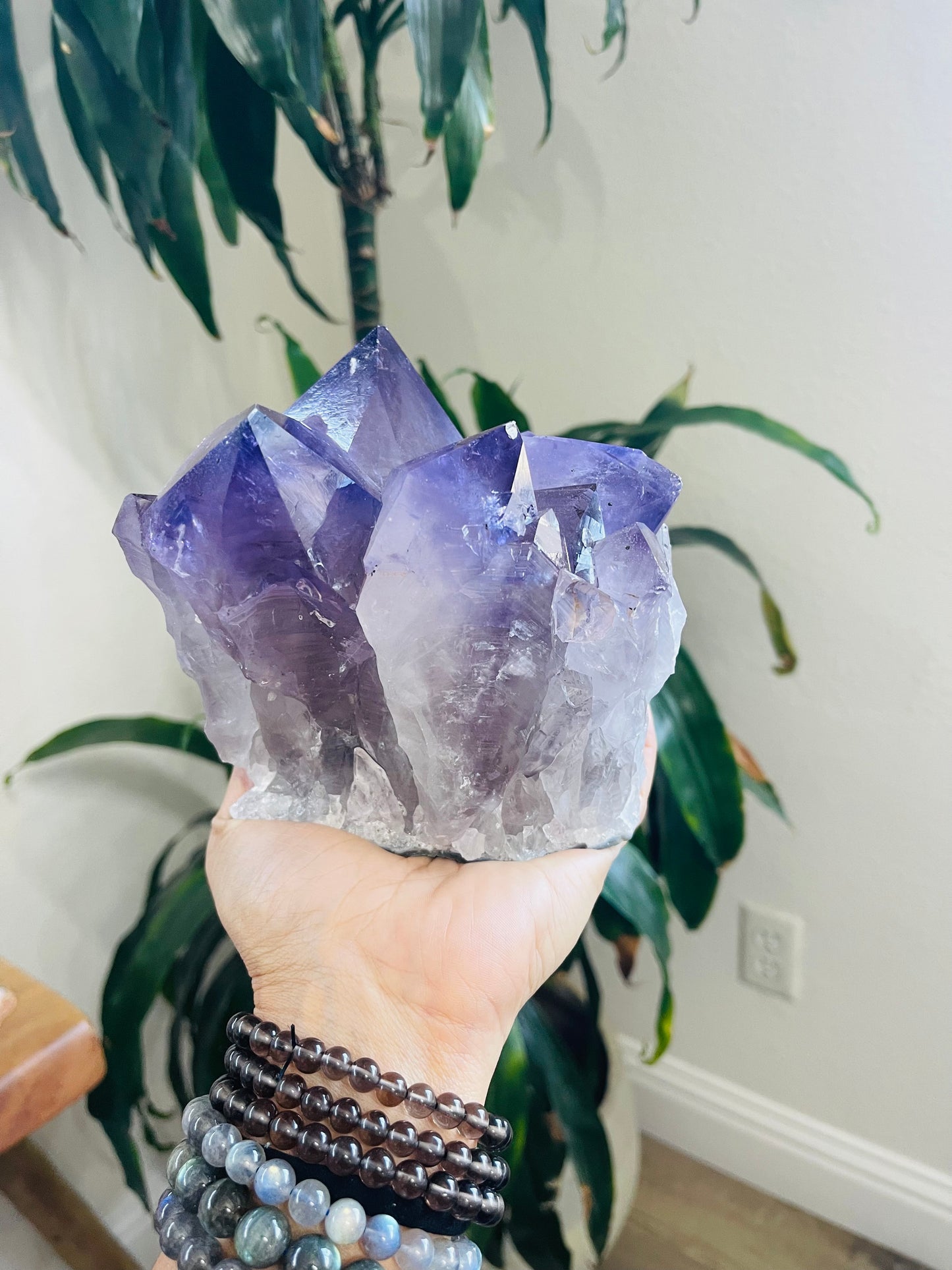 Amethyst Cluster