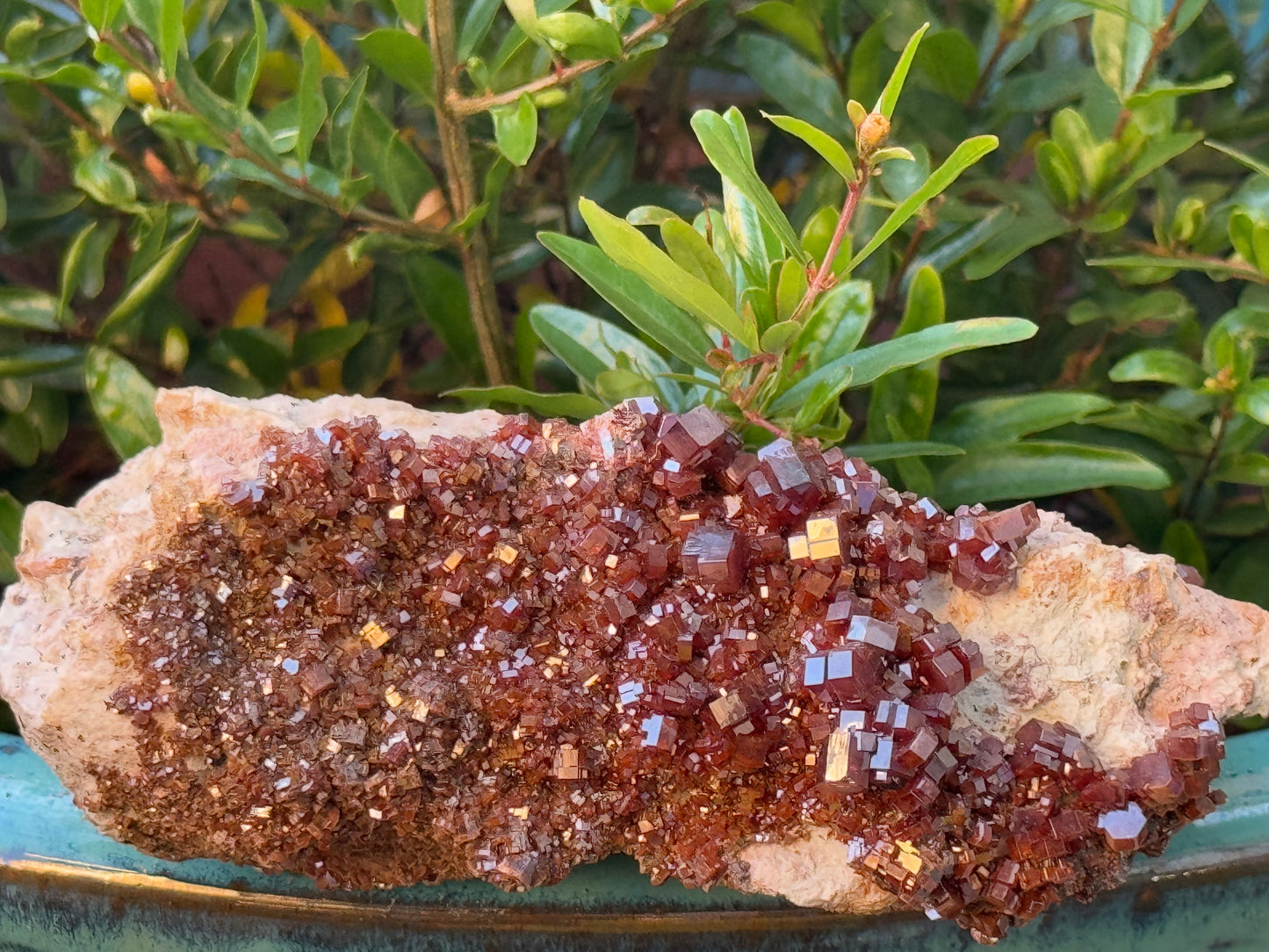 Vanadinite Cluster – Fire of Manifestation