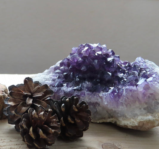 Namibian Flower Amethyst Druze – Collector Piece