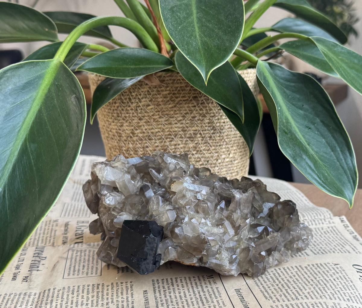 Very Rich Smoky Quartz & Black Tourmaline Cluster | Namibia