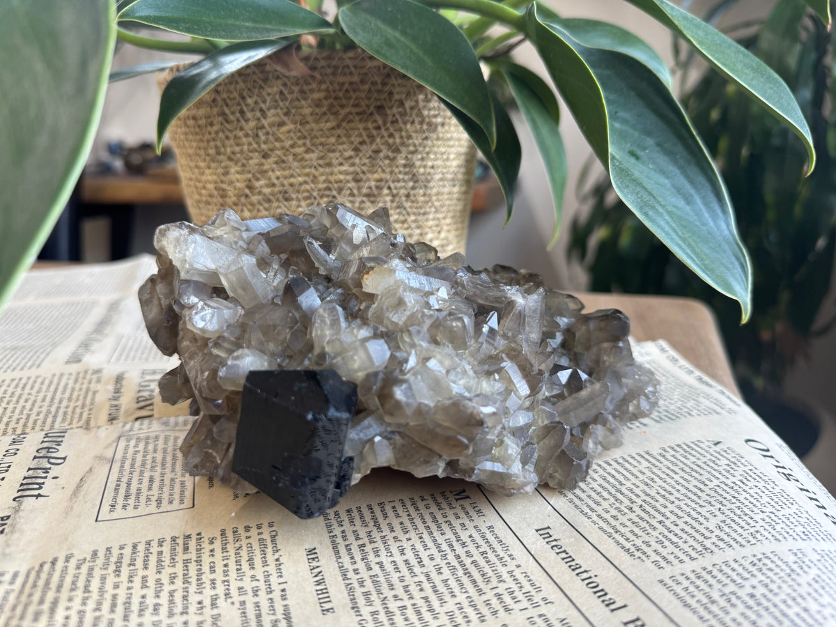 Very Rich Smoky Quartz & Black Tourmaline Cluster | Namibia