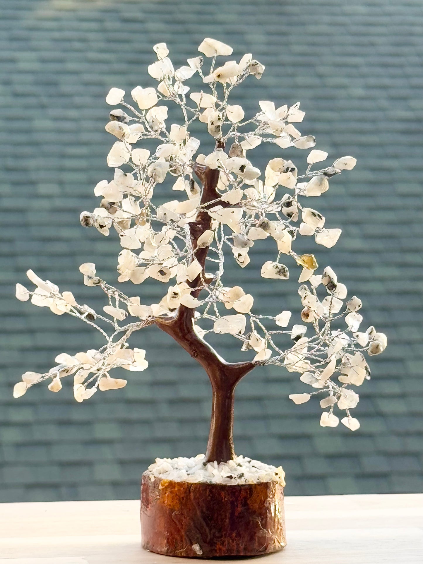 Crystal Tree of Life Collection