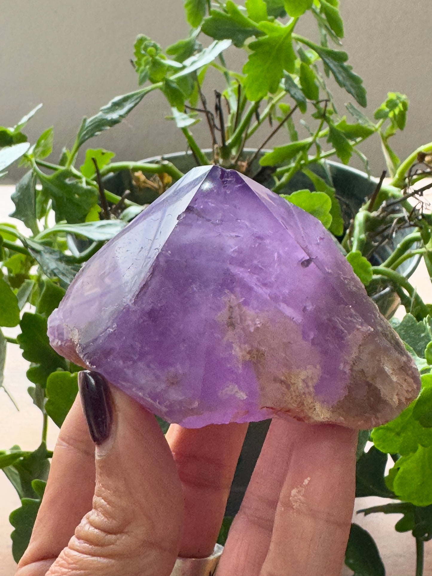 Amethyst Trapeze