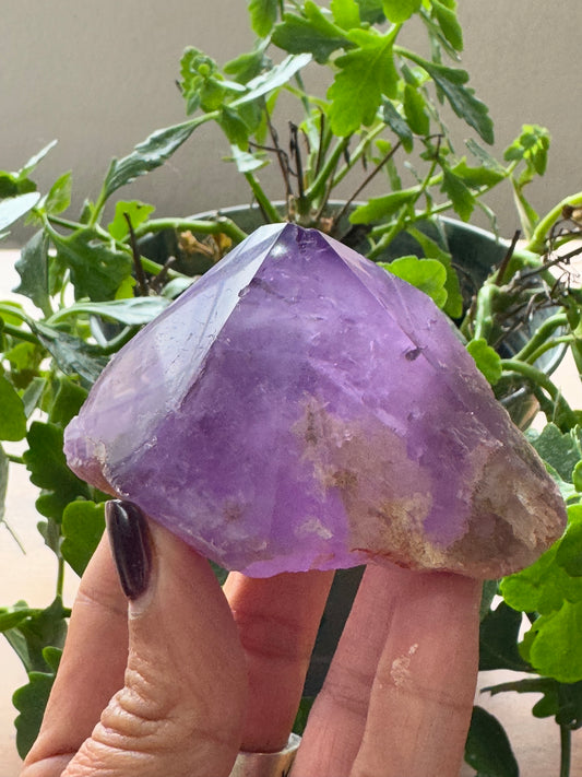 Amethyst Trapeze