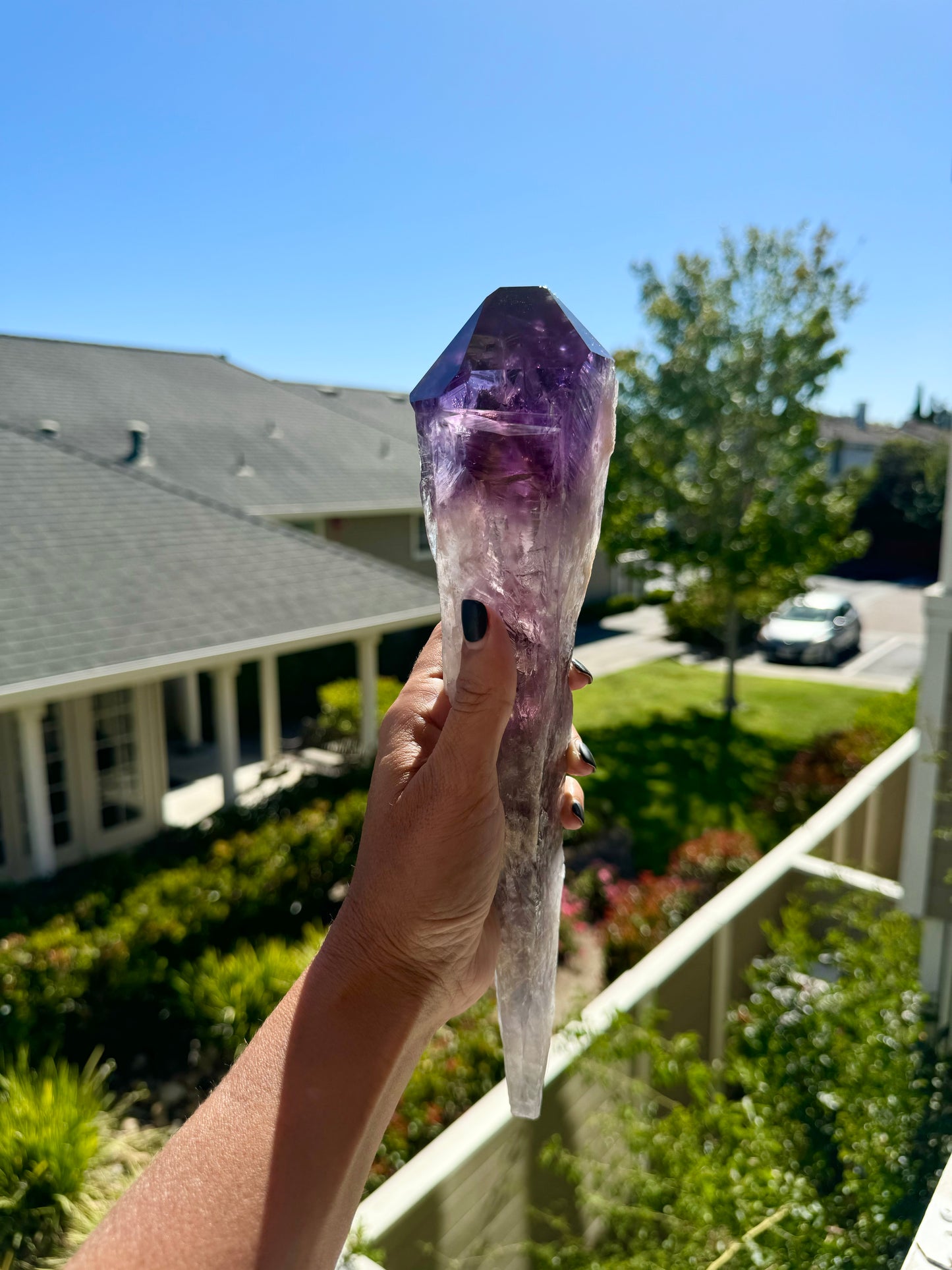 Large Raw Natural Amethyst Root