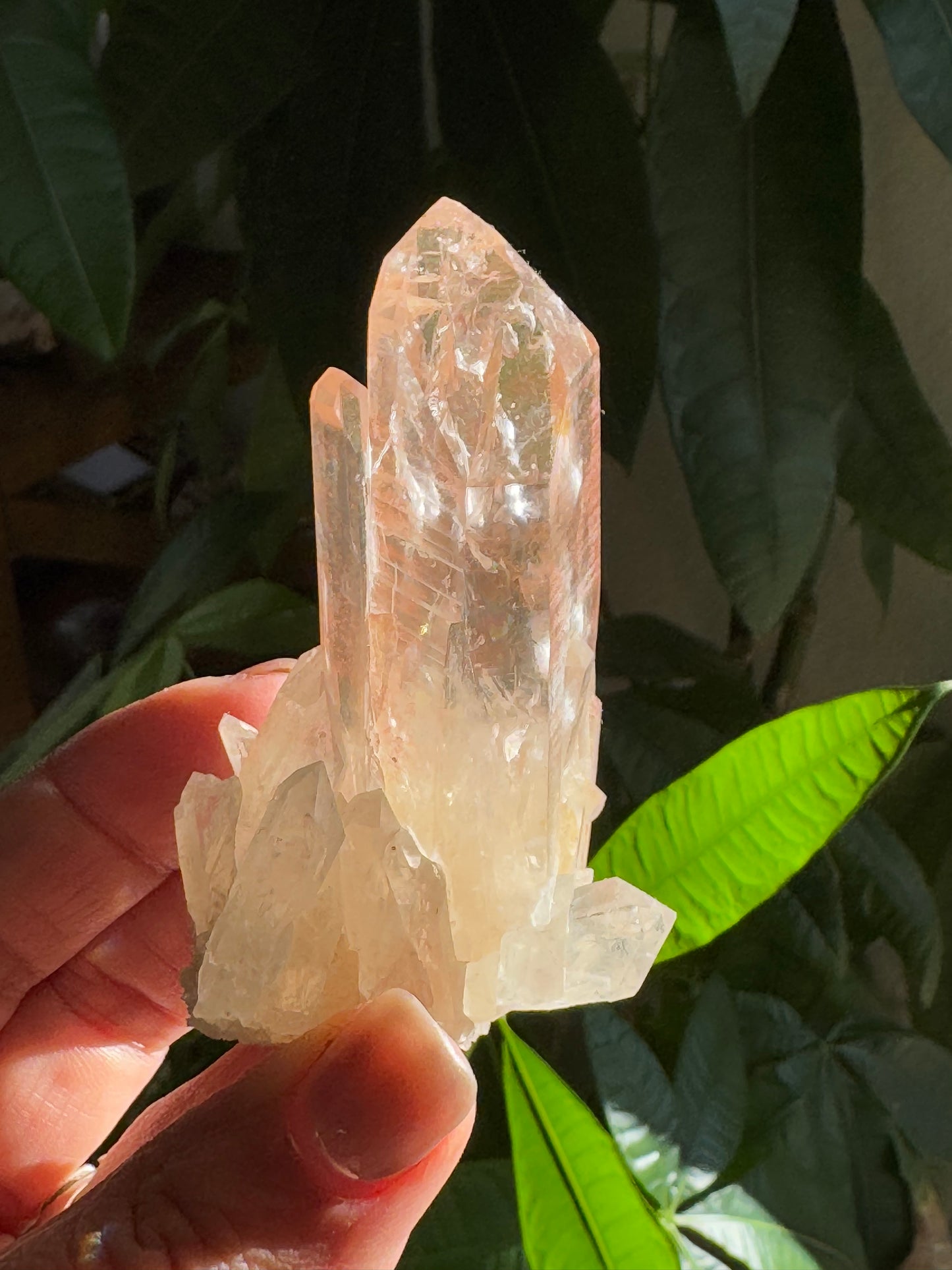 Raw Natural Pink Lemurian Quarts