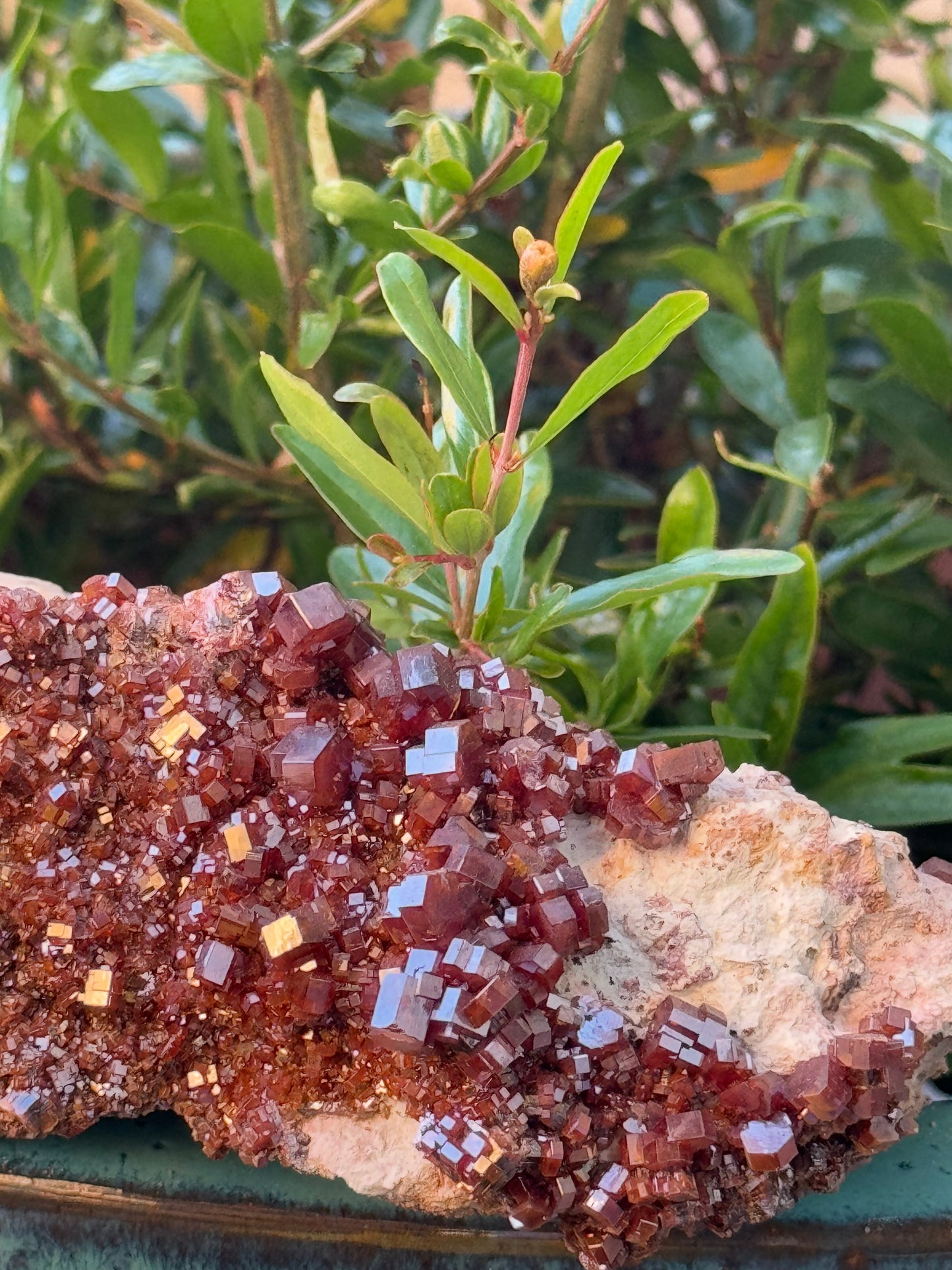 Vanadinite Cluster – Fire of Manifestation