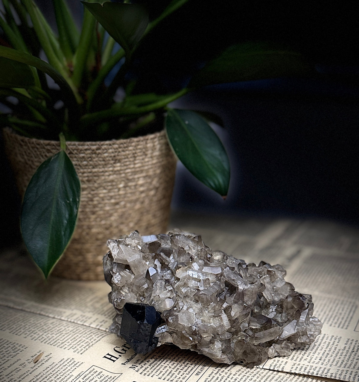 Very Rich Smoky Quartz & Black Tourmaline Cluster | Namibia