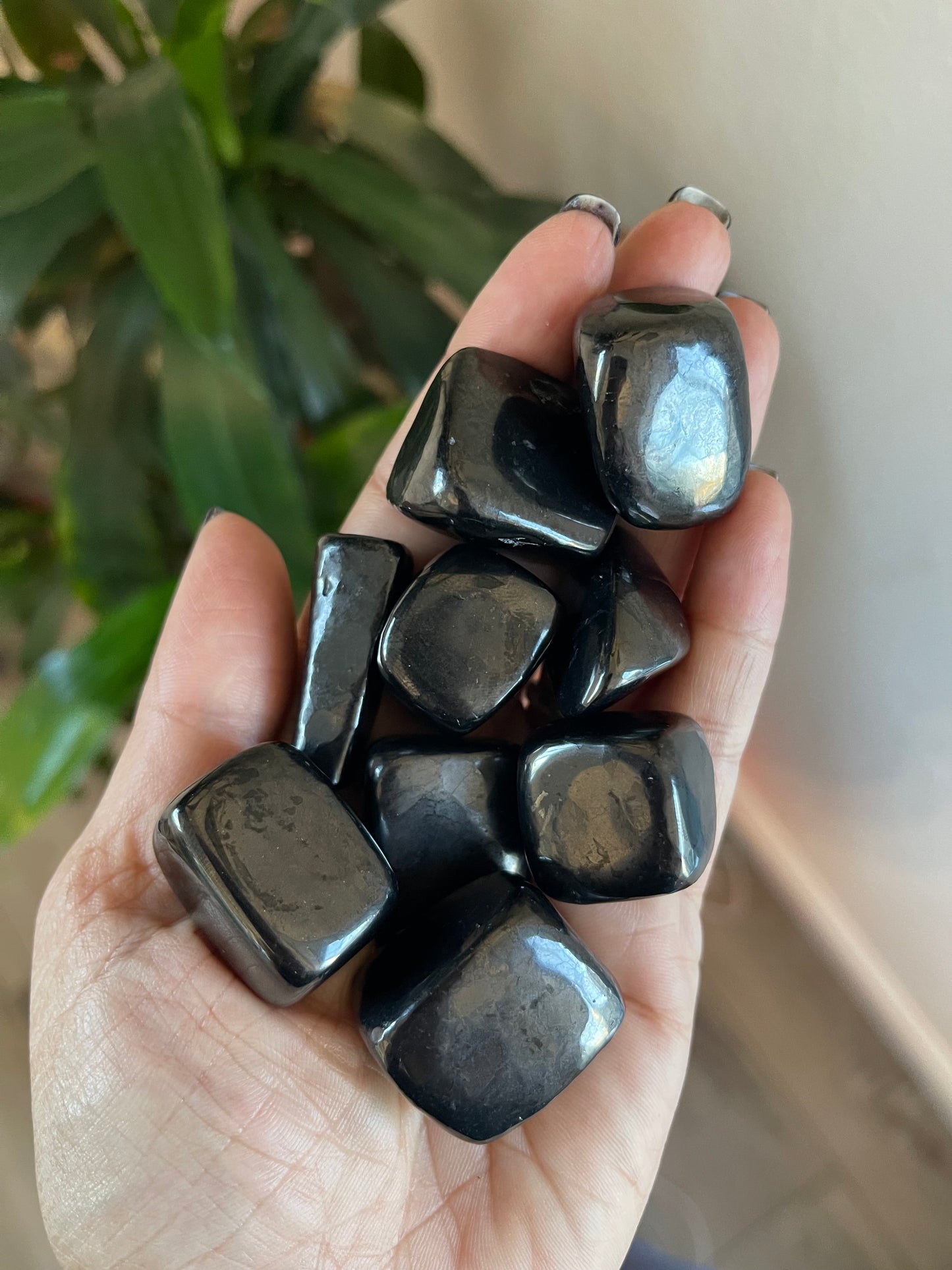 Tumbled Shungite