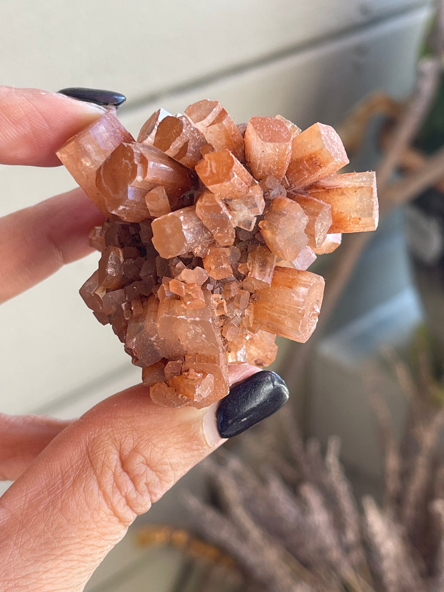 Aragonite stone