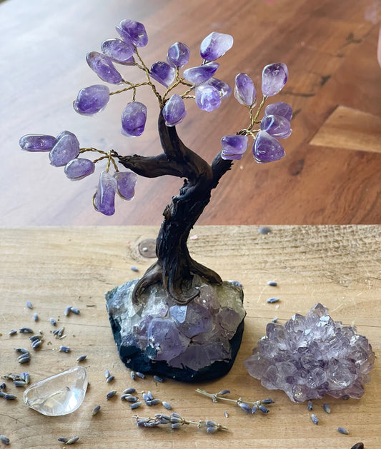 Amethyst Feng Shui Tree