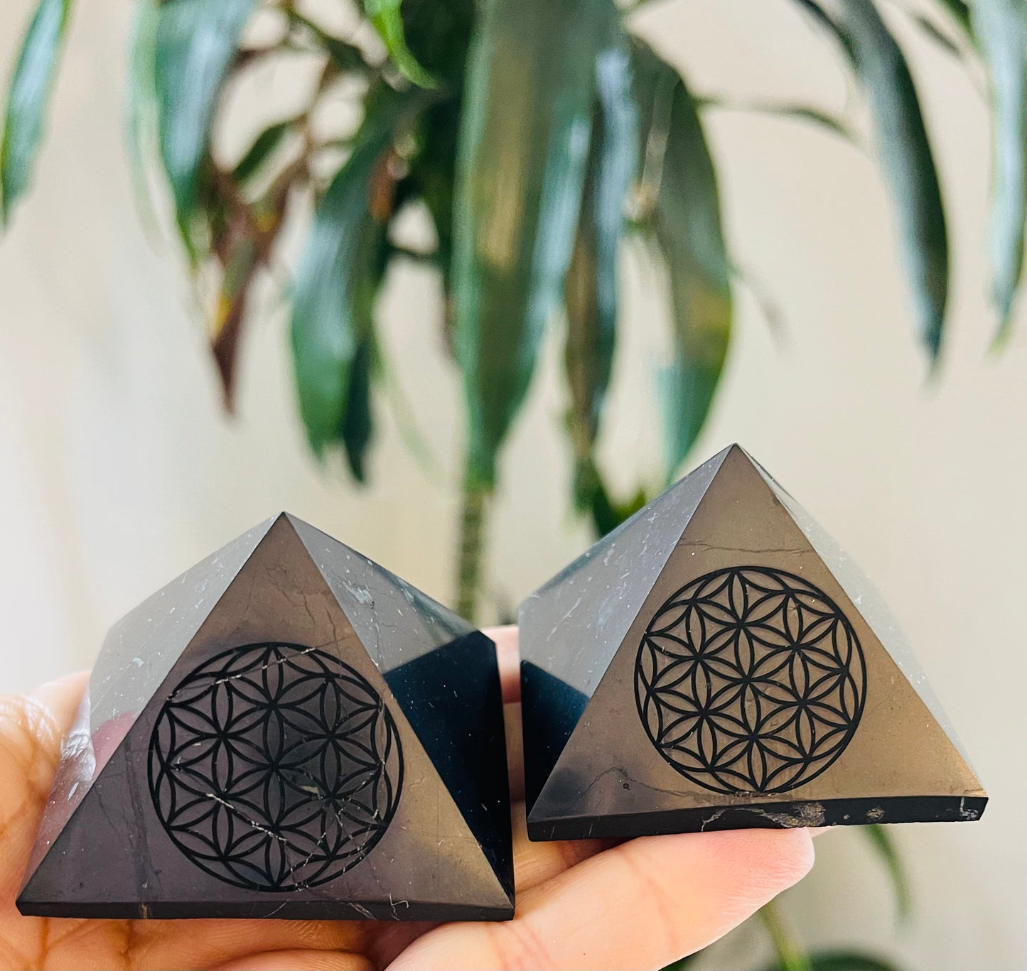 Flower of life polished Shungite pyramid