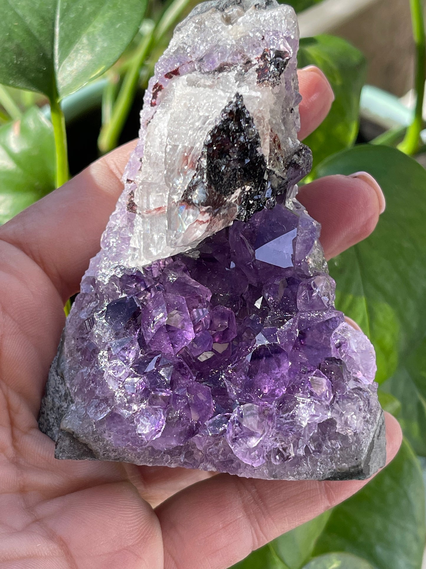 Amethyst Druze from Uruguay