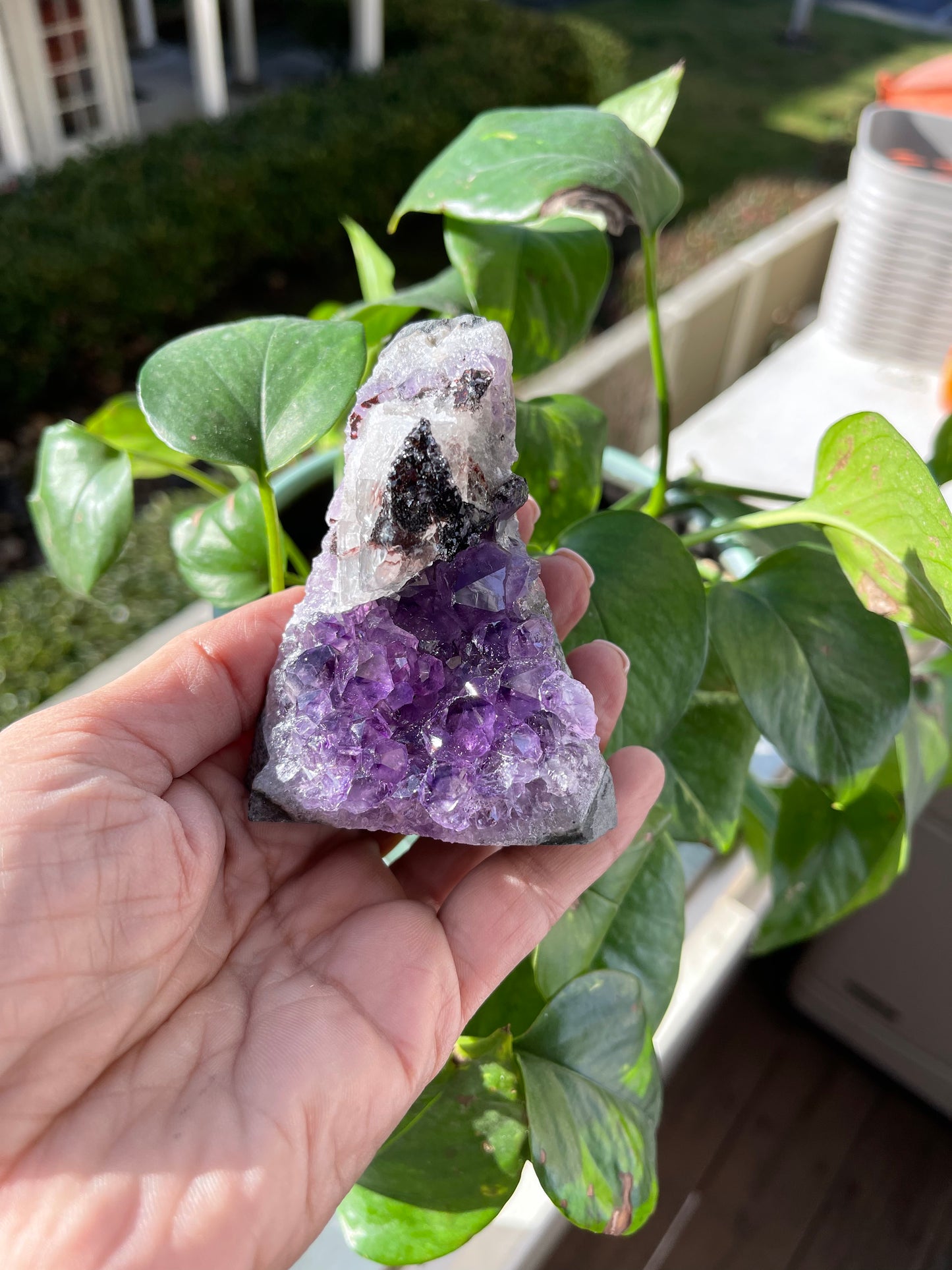 Amethyst Druze from Uruguay