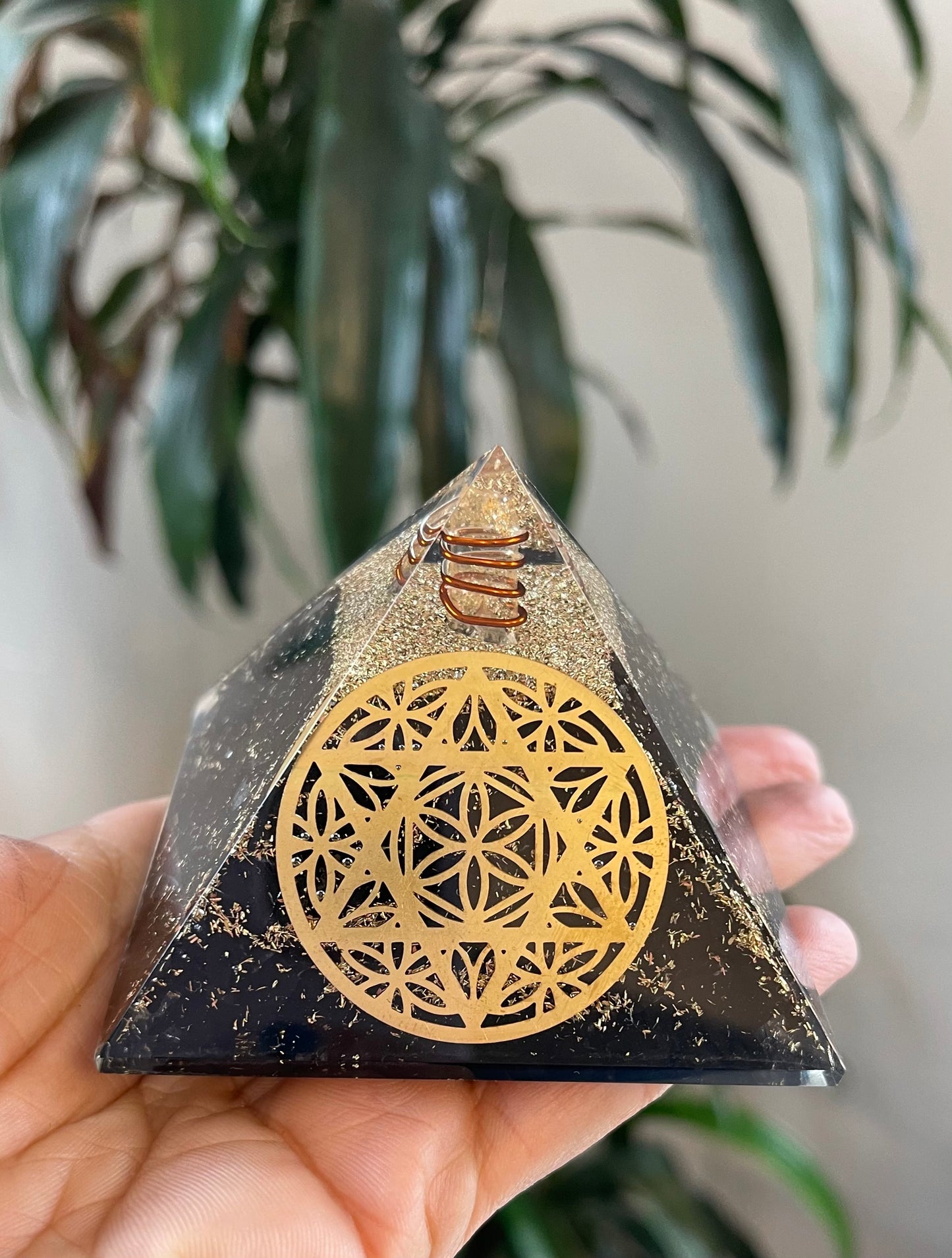 Shungite Orgone Flower of life and Star of David