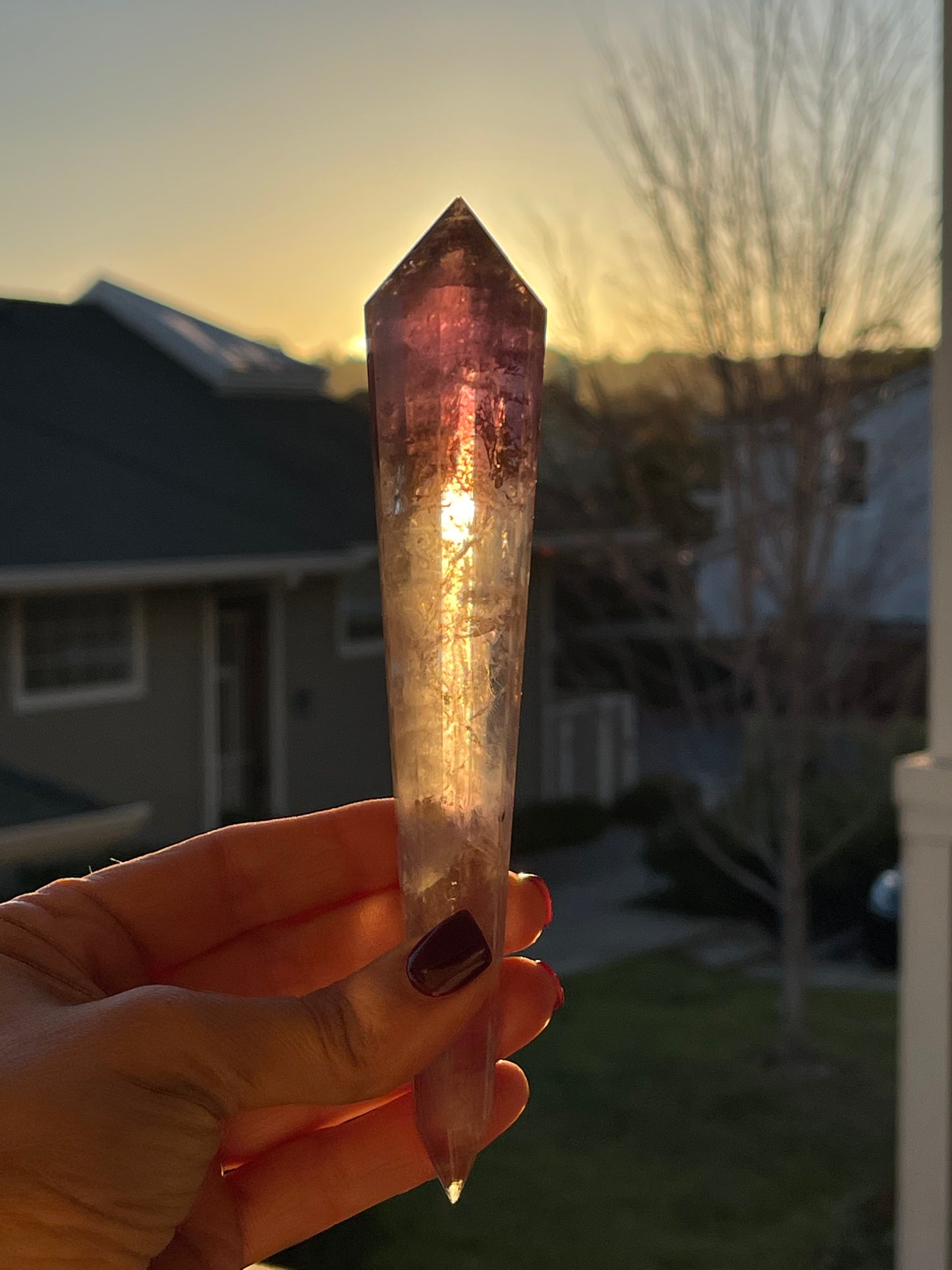 Ametrine Vogel wand