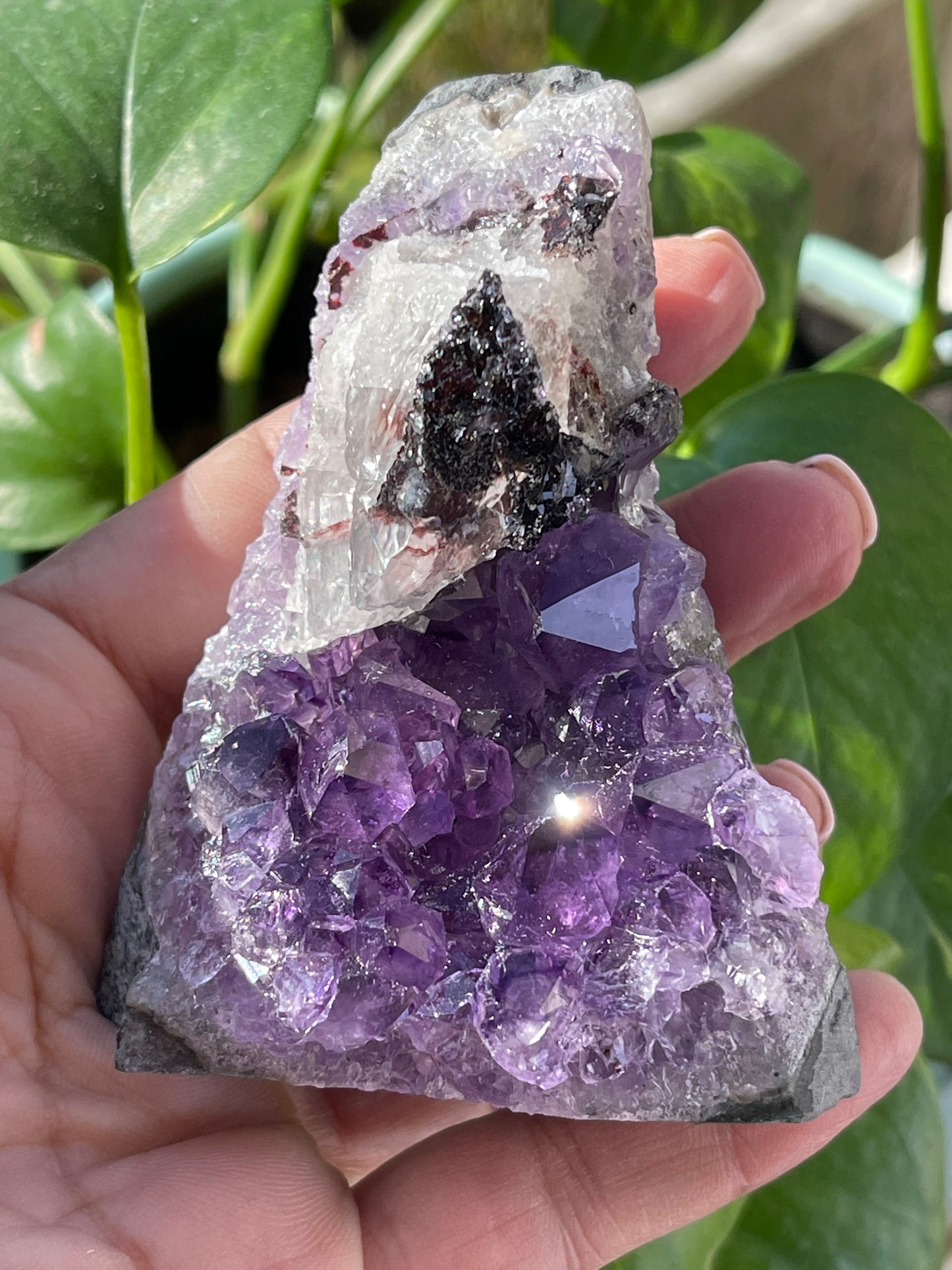 Amethyst Druze from Uruguay