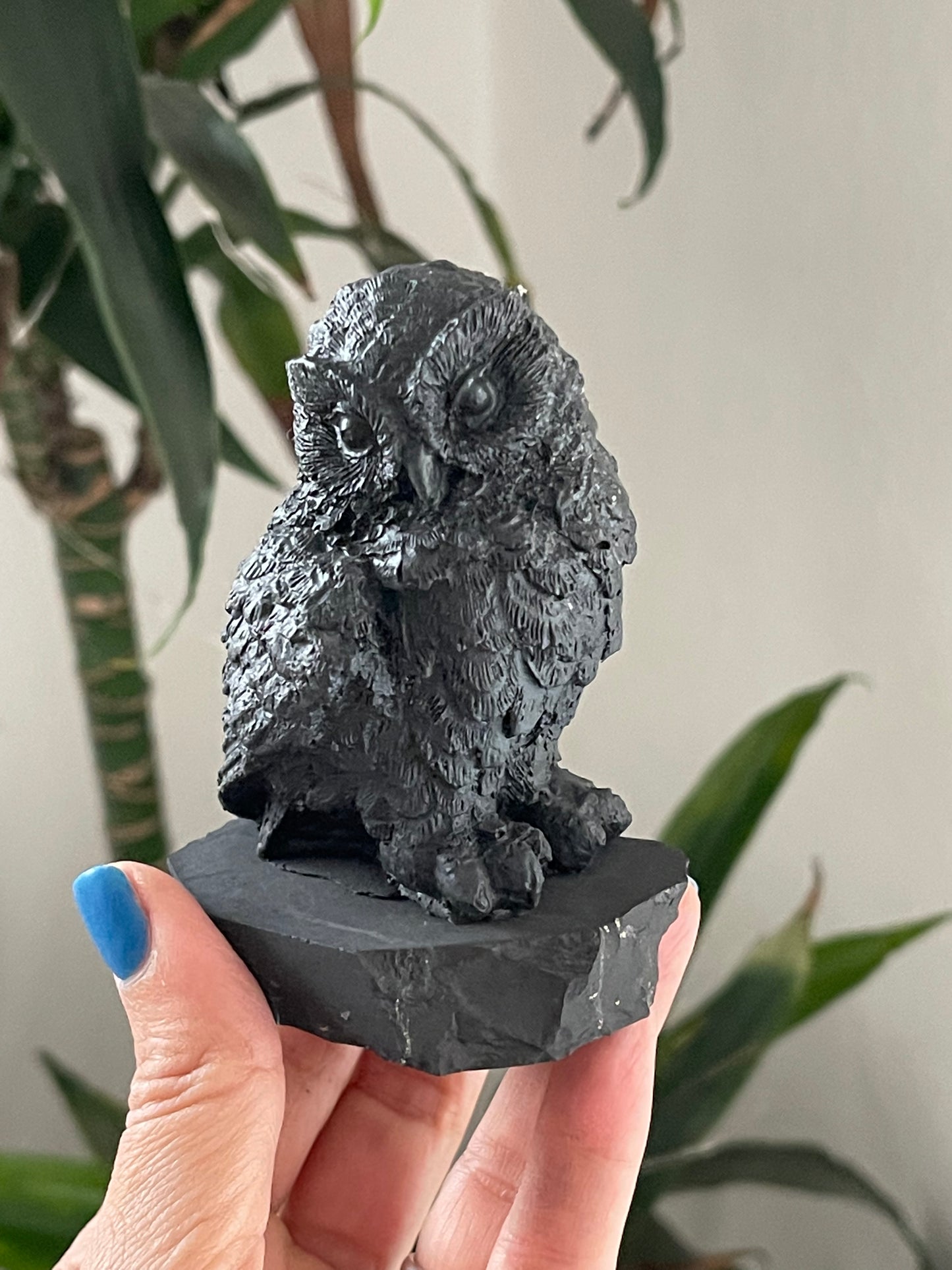 Shungite Owel