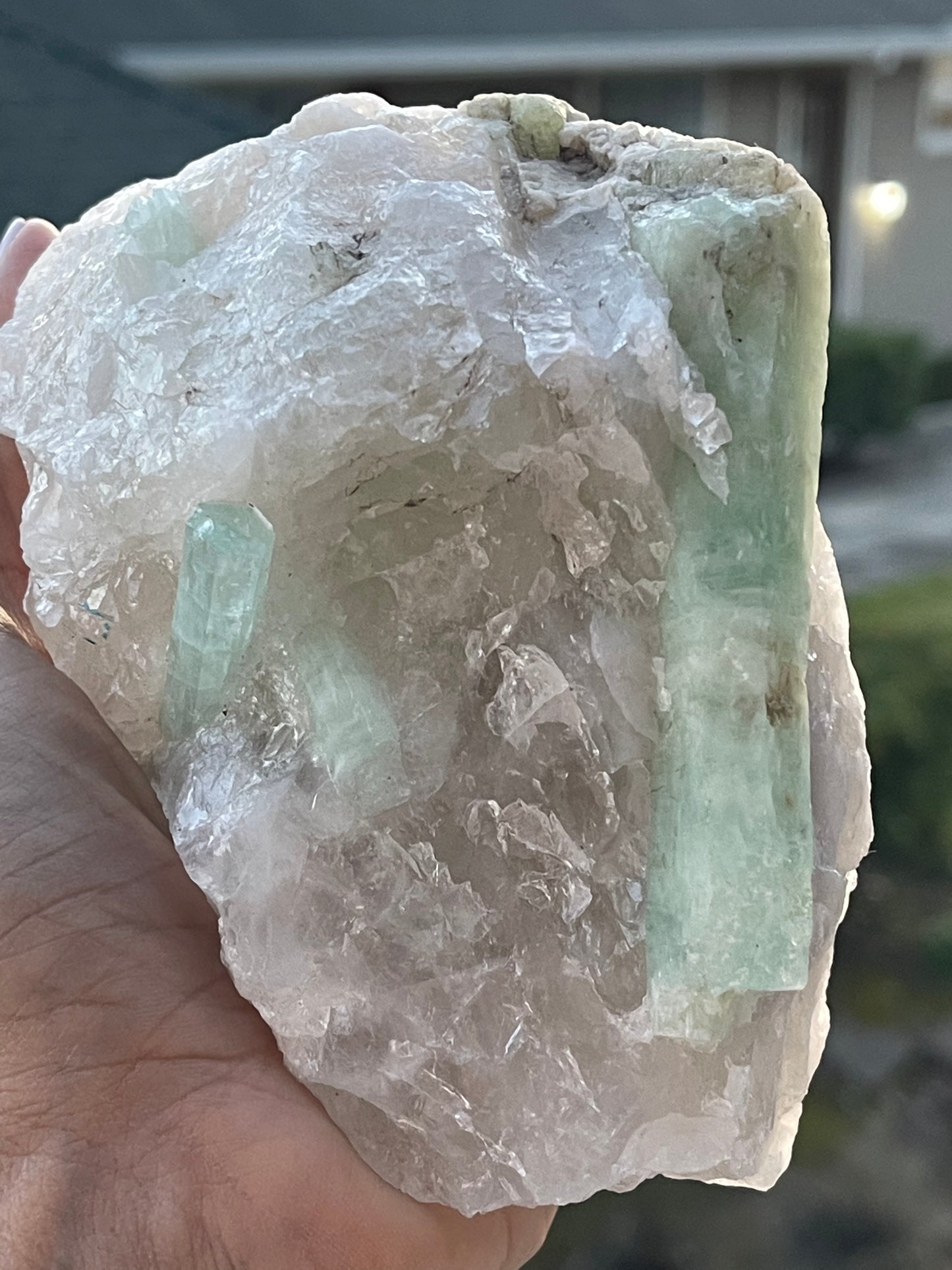 Aquamarine in Quartz