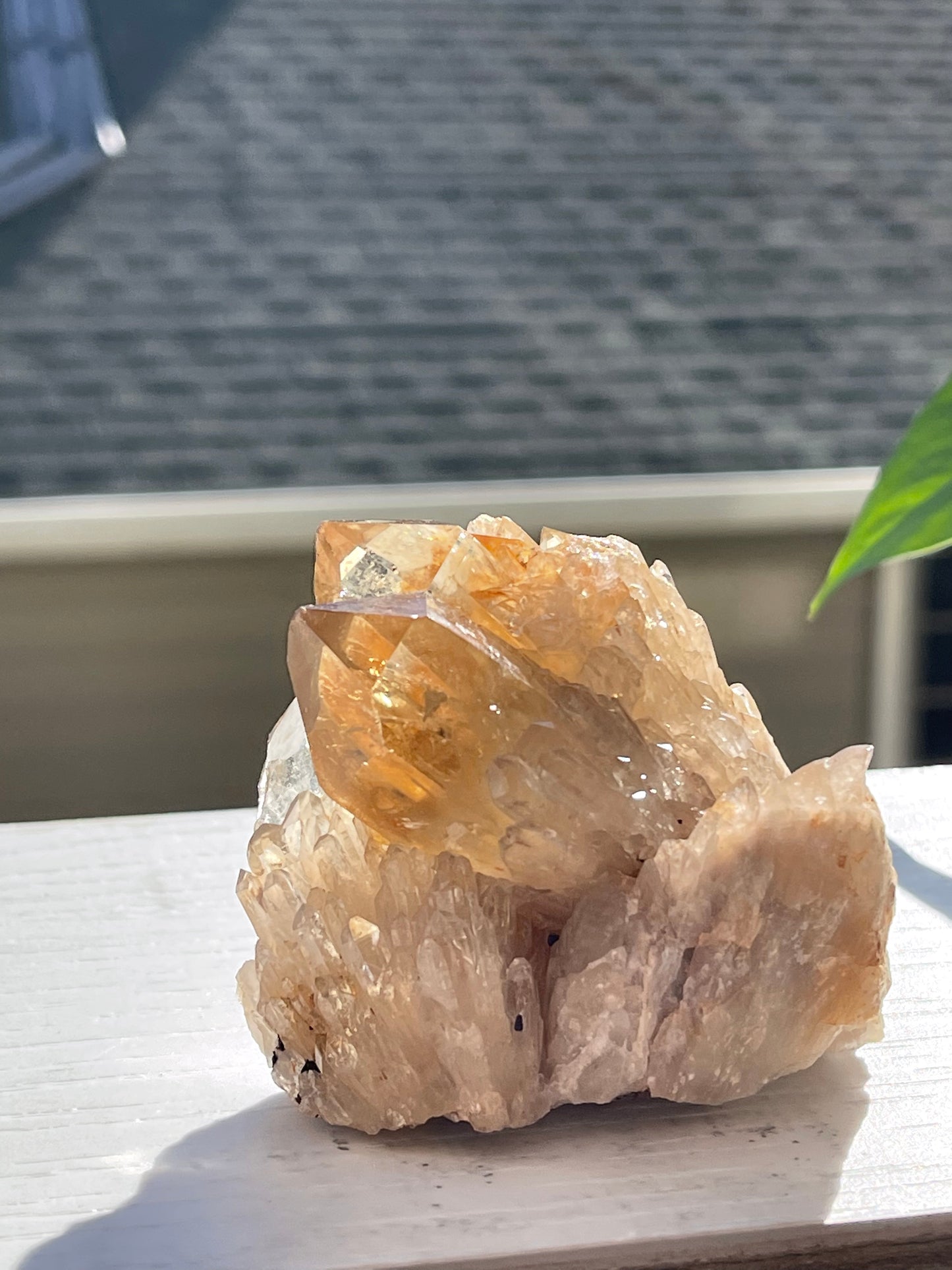 Natural Raw Kundalini Citrine