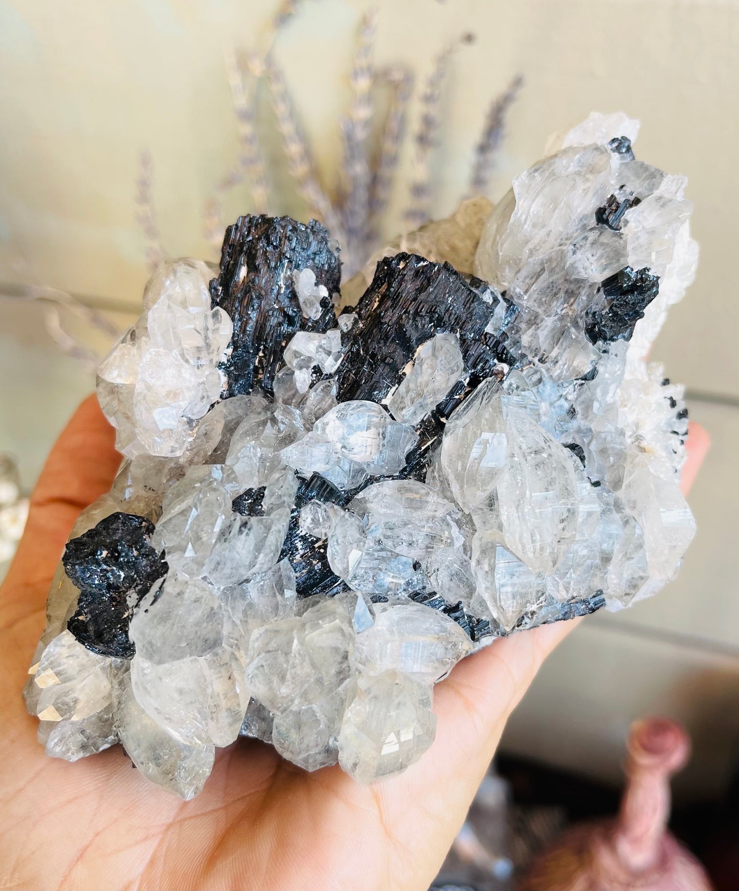 Unique And beautiful Quartz with Black Tourmaline Cluster