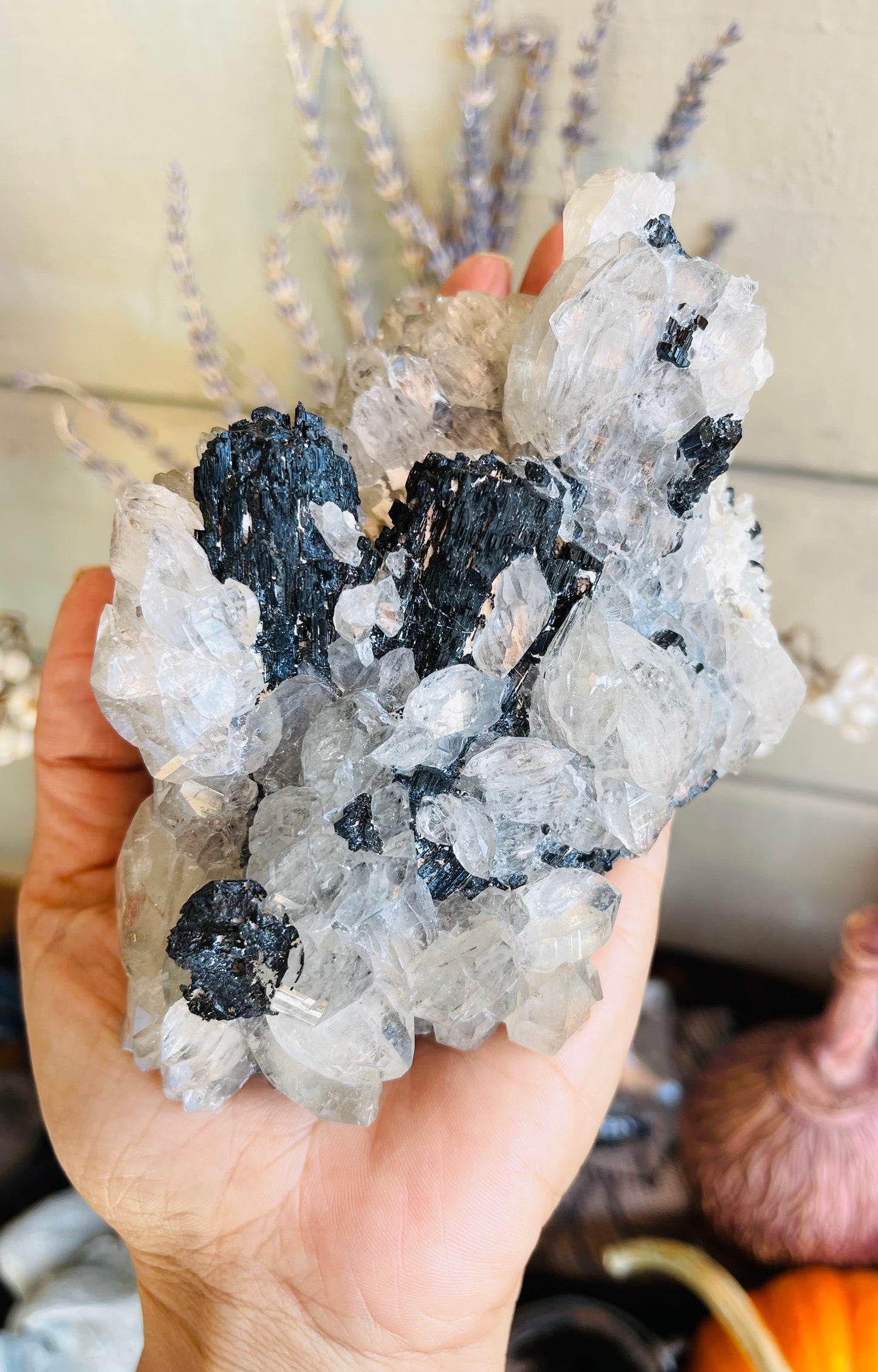 Unique And beautiful Quartz with Black Tourmaline Cluster