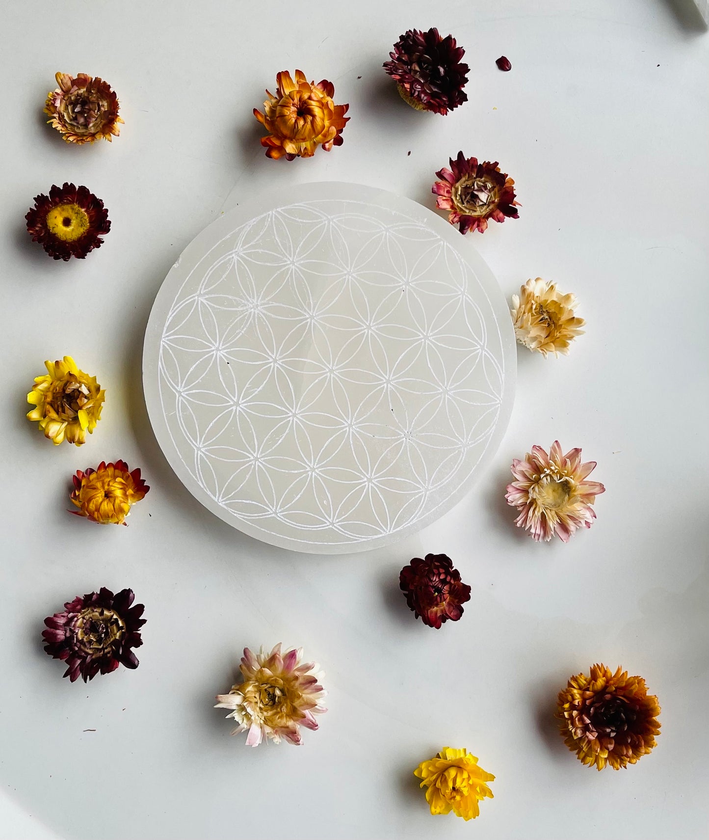 Flower Of Life Selenite charging plate (small size)